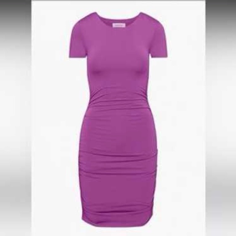 Aritzia Babaton Contour Ruched Dresss
